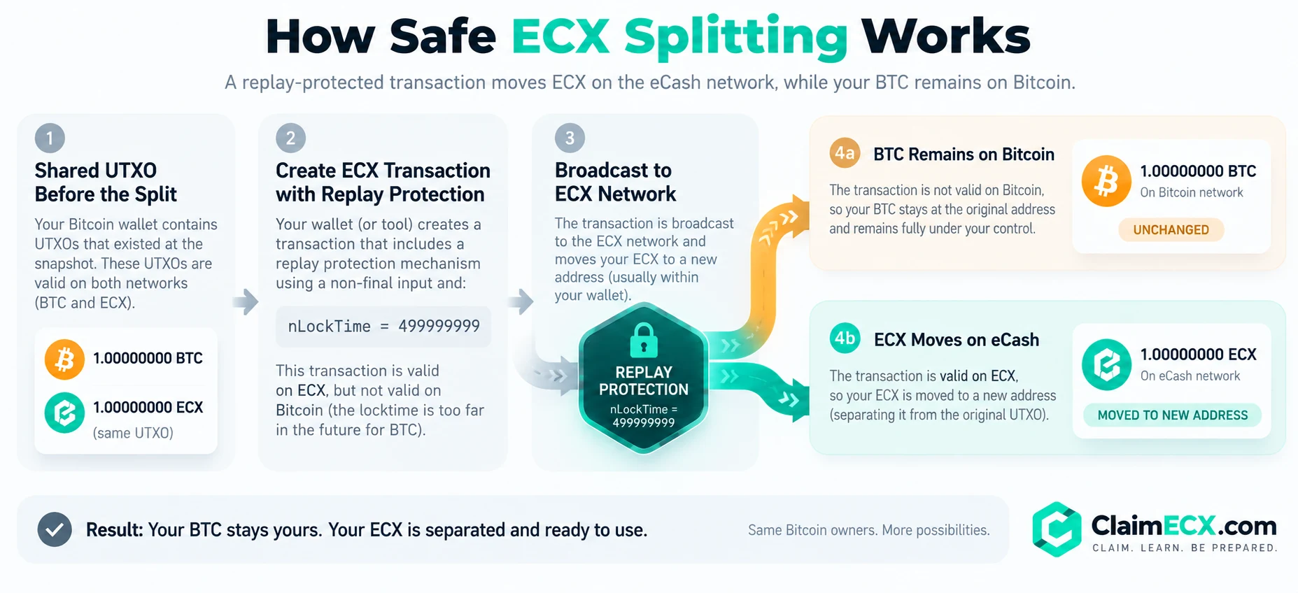 How ECX replay protection safely separates BTC and ECX